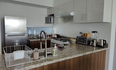 Departamento en Renta en Via Montejo