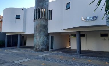 Departamento amueblado en Ave. Andrés García Lavín, San Ramon Norte