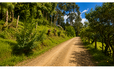 Finca campestre Sesquilé Cundinamarca