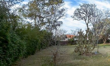 Terreno en  venta arbolado - Benavidez - Partido de Tigre - Sin Expensas