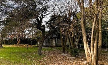 Terreno en  venta arbolado - Benavidez - Partido de Tigre - Sin Expensas