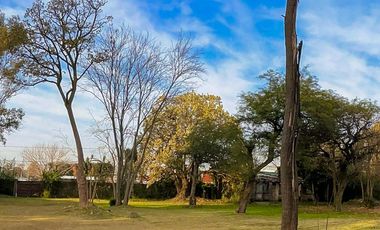 Terreno en  venta arbolado - Benavidez - Partido de Tigre - Sin Expensas