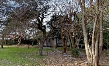 Terreno en  venta arbolado - Benavidez - Partido de Tigre - Sin Expensas