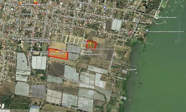Terreno 25,000 m² en Jocotepec | Ideal Coto Residencial | A minutos del Malecon