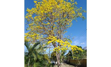 CORONADO / 3 HABITACIONES / 100K  / 3 BAÑOS / 788 m2