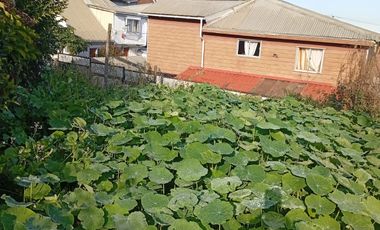 CYF PROPIEDADES VENDE CASA EN LOTA ALTO