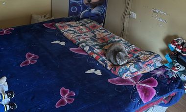 CYF PROPIEDADES VENDE CASA EN LOTA ALTO