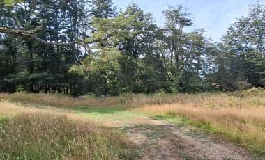 Parcela en venta  en PUERTO VARAS