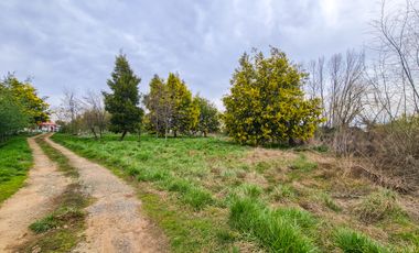 VENTA CASA 2HAB 1BA BULNES