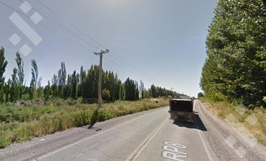Alquiler de 1 Hectárea con frente de ruta, Añelo