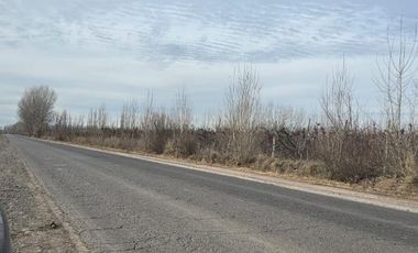 Alquiler de 1 Hectárea con frente de ruta, Añelo