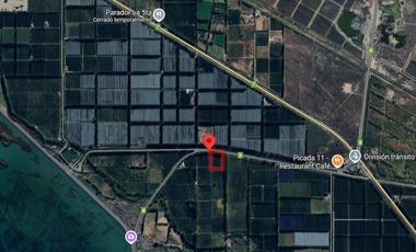 Alquiler de 1 Hectárea con frente de ruta, Añelo
