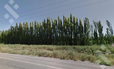 Alquiler de 1 Hectárea con frente de ruta, Añelo