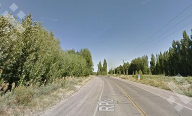 Alquiler de 1 Hectárea con frente de ruta, Añelo