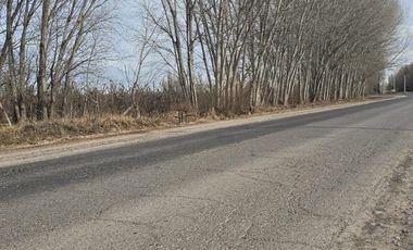 Alquiler de 1 Hectárea con frente de ruta, Añelo