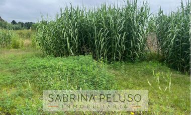 terreno venta moreno