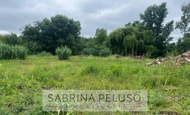 terreno venta moreno