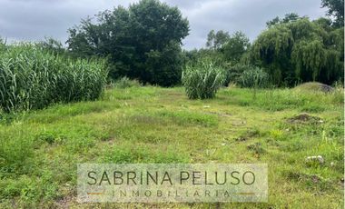 terreno venta moreno