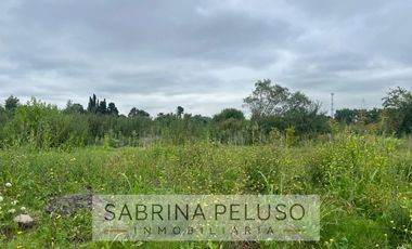 terreno venta moreno
