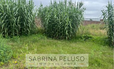terreno venta moreno