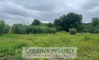 terreno venta moreno