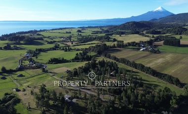 Preciosa parcela de 5.637 m2 con vegetación nativa en el sector de Los Riscos, Puerto Varas