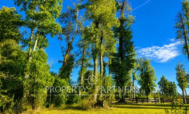Preciosa parcela de 5.637 m2 con vegetación nativa en el sector de Los Riscos, Puerto Varas