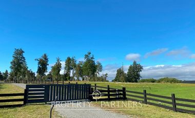 Preciosa parcela de 5.637 m2 con vegetación nativa en el sector de Los Riscos, Puerto Varas