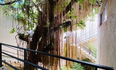 DEPARTAMENTO AMUEBLADO EN RENTA VIBRAS TULUMINATI -2 CUADRAS DE ALTABRISA