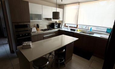 ARRIENDO PIE ANDINO