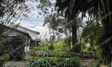 VENDO o RENTO  hermosa propiedad en la zona central de SANGOLQUI, con casa cololnial