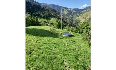 FINCA PRODUCTIVA EN VENTA TENERIFE EL CERRITO VALLE  254 Hectáreas