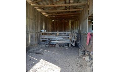 FINCA PRODUCTIVA EN VENTA TENERIFE EL CERRITO VALLE  254 Hectáreas
