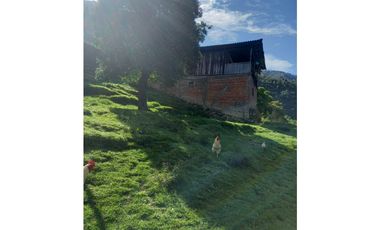 FINCA PRODUCTIVA EN VENTA TENERIFE EL CERRITO VALLE  254 Hectáreas