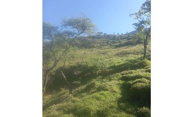 FINCA PRODUCTIVA EN VENTA TENERIFE EL CERRITO VALLE  254 Hectáreas