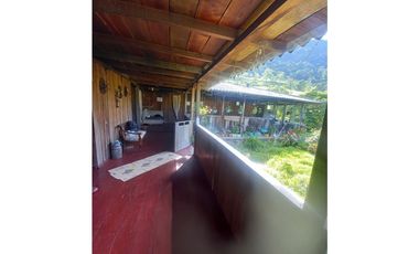 FINCA PRODUCTIVA EN VENTA TENERIFE EL CERRITO VALLE  254 Hectáreas