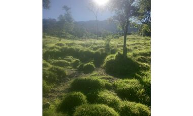 FINCA PRODUCTIVA EN VENTA TENERIFE EL CERRITO VALLE  254 Hectáreas