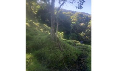 FINCA PRODUCTIVA EN VENTA TENERIFE EL CERRITO VALLE  254 Hectáreas