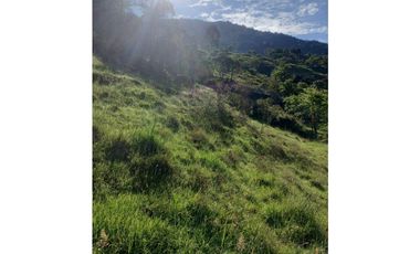 FINCA PRODUCTIVA EN VENTA TENERIFE EL CERRITO VALLE  254 Hectáreas