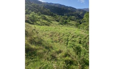 FINCA PRODUCTIVA EN VENTA TENERIFE EL CERRITO VALLE  254 Hectáreas