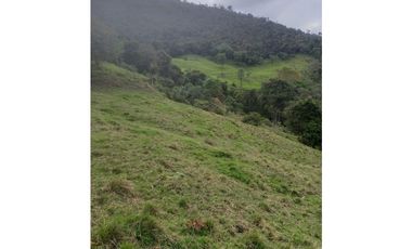 FINCA PRODUCTIVA EN VENTA TENERIFE EL CERRITO VALLE  254 Hectáreas