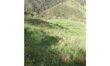 FINCA PRODUCTIVA EN VENTA TENERIFE EL CERRITO VALLE  254 Hectáreas
