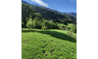 FINCA PRODUCTIVA EN VENTA TENERIFE EL CERRITO VALLE  254 Hectáreas