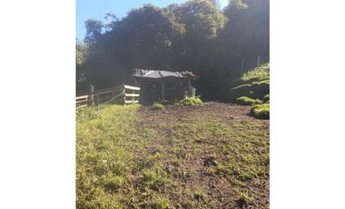 FINCA PRODUCTIVA EN VENTA TENERIFE EL CERRITO VALLE  254 Hectáreas