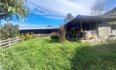 FINCA PRODUCTIVA EN VENTA TENERIFE EL CERRITO VALLE  254 Hectáreas