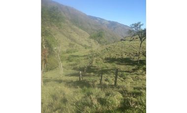 FINCA PRODUCTIVA EN VENTA TENERIFE EL CERRITO VALLE  254 Hectáreas