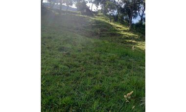 FINCA PRODUCTIVA EN VENTA TENERIFE EL CERRITO VALLE  254 Hectáreas
