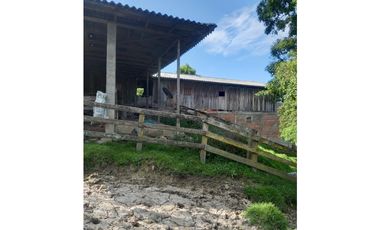 FINCA PRODUCTIVA EN VENTA TENERIFE EL CERRITO VALLE  254 Hectáreas