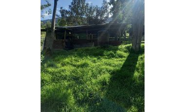 FINCA PRODUCTIVA EN VENTA TENERIFE EL CERRITO VALLE  254 Hectáreas