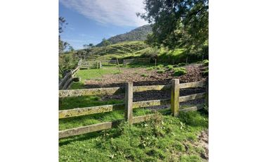 FINCA PRODUCTIVA EN VENTA TENERIFE EL CERRITO VALLE  254 Hectáreas